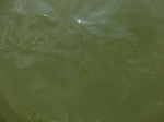 58190CIMG2637.JPG