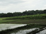 22135DSC00378.JPG