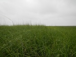 54400DSCN1680.JPG