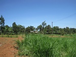 32143IMG_0584.JPG