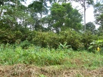20572P1020429.JPG