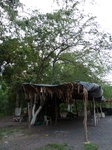 24475Colima 169.jpg