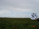 10667gt-089-wetland-large-flood-plain-01.jpg