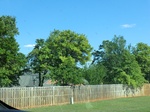 29065CIMG0764.JPG