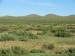 37986CIMG1794.JPG
