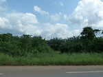 20339P1020196.JPG