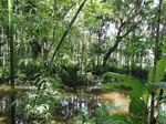 21365DSC00637.JPG