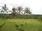15468IMG_4537.JPG