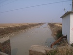 4635RIMG0066-1.JPG
