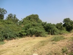 39954CIMG7925.JPG