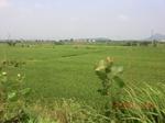 53888CIMG3013.JPG