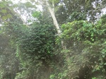 47514CIMG3851.JPG