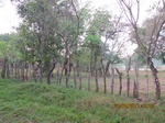 30055IMG_5343.JPG