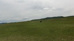 33743CIMG2395.JPG