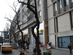 16754DSC05219.JPG