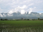 14657IMG_5038.JPG