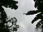 45603CIMG2688.JPG