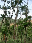 53435CIMG6767.JPG