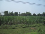 34501IMG_5484.JPG