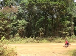47136CIMG3473.JPG