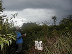 12007GT261_chromolaena_over_imperata_fallow.jpg