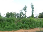 20692P1020549.JPG