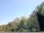 57892IMG_0853.JPG
