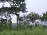 49897CIMG6234.JPG