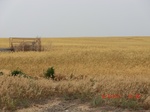 29800CIMG1179.JPG