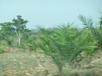 51513P1000674.JPG