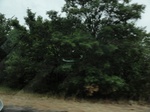 35755DSC02514.JPG