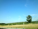 57976IMG_0939.JPG