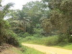 47886CIMG4223.JPG
