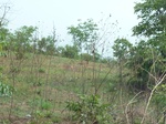 51529P1000693.JPG