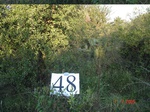 11012gt-048-wetland-seasonal-moist-valley-bottom-02.jpg