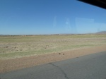 22178P1010220.JPG