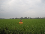 14441IMG_4794.JPG