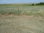 39249MRSH20110829W.JPG