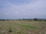 28050RIMG0103.JPG