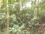 46764DSC02101.JPG