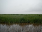 54434DSCN1715.JPG