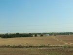 55250CIMG1303.JPG