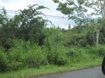 33529IMG_5779.JPG