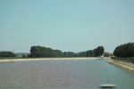 2024-08-05_14-07-03_18C973E9-19F7-41E6-86B0-0B5601E99B1C.jpeg