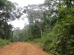 47610CIMG3947.JPG