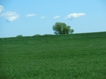 29986CIMG0665.JPG