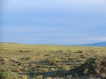 37879CIMG1686.JPG
