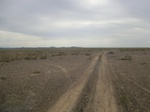 37199CIMG0997.JPG