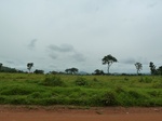 18552P1000388.JPG