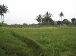 15007IMG_3817.JPG